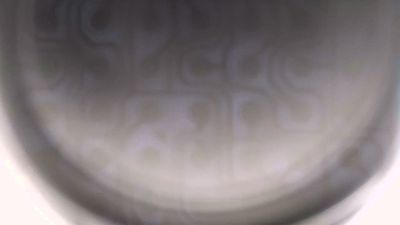 gogogondolo live cam on Cam4