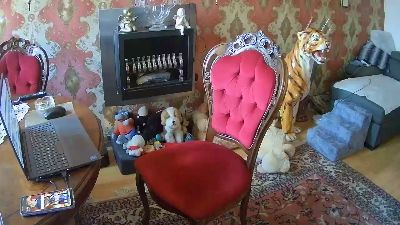graublau1 live cam on Cam4