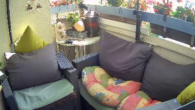 graublau1 live cam on Cam4