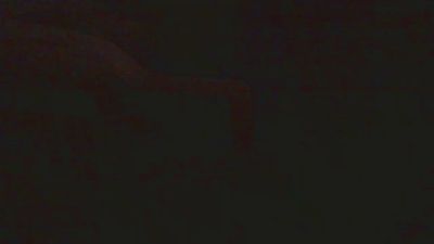 grifo18 live cam on Cam4