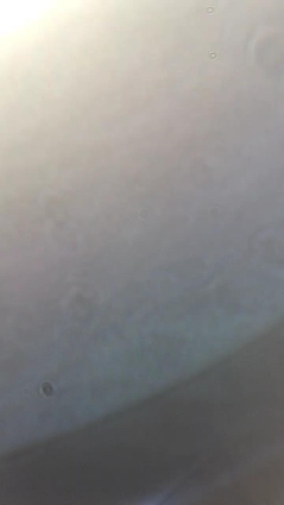 grx_22 live cam on Cam4