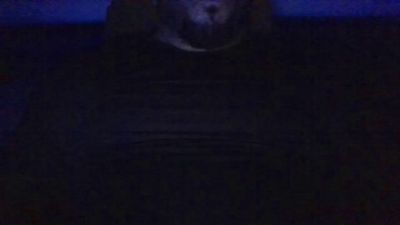 guaposexy1 live cam on Cam4