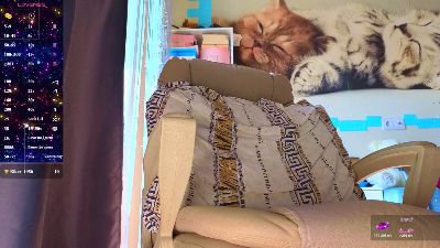 gven552 live cam on Cam4