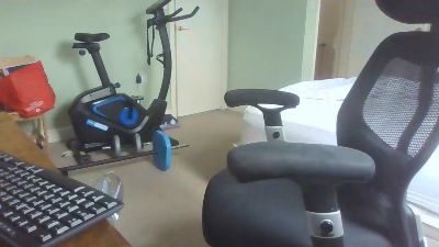 hairysteve1 live cam on Cam4