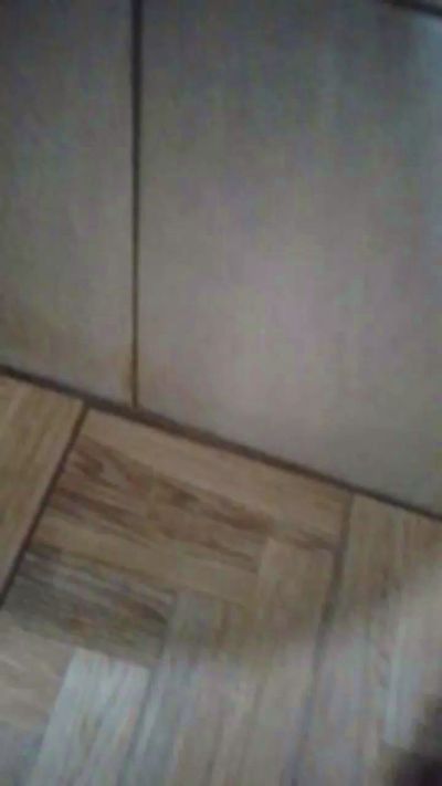 harrisongouveia 来自 巴西 的 男性 直播摄像头