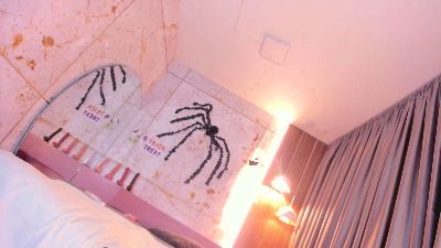 haylenpark live cam on Cam4