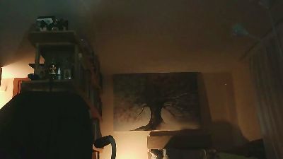hhgr1 live cam on Cam4