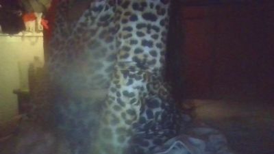 hindoe live cam on Cam4
