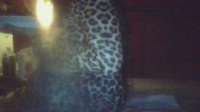 hindoe live cam on Cam4