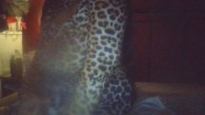 hindoe live cam on Cam4