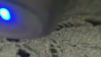honeybee11 live cam on Cam4