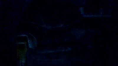 horneyjongen live cam on Cam4