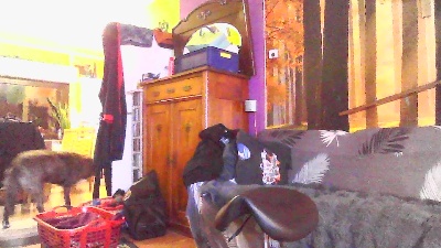 hornybigerman76 live cam on Cam4