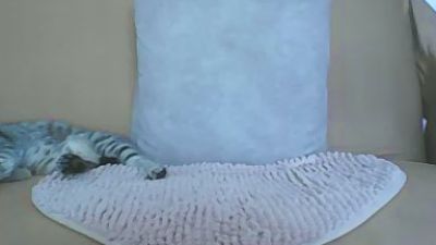 hotangelt live cam on Cam4