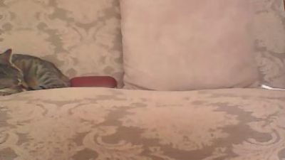 hotangelt live cam on Cam4
