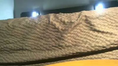 hughmungusbc Live Cam and Statistics on UnifiedCams
