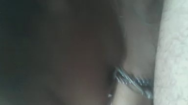 i2Pinguini live cam and statistics on UnifiedCams