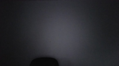 ice_monkey live cam on Cam4