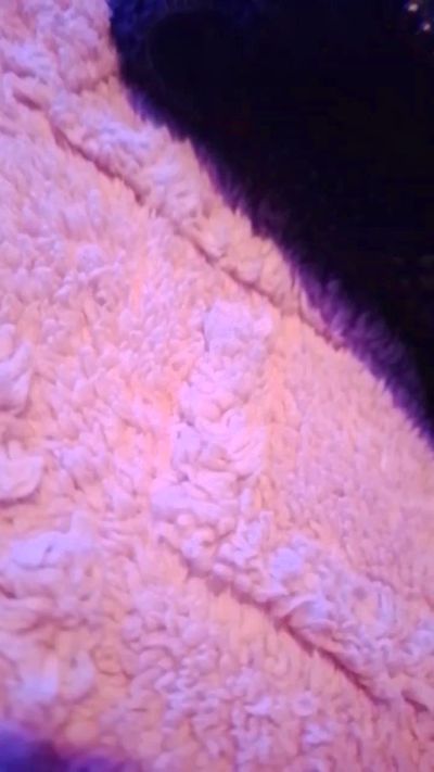 ignacia69_ live cam on Cam4