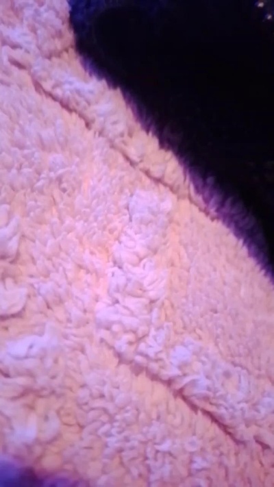 ignacia69_ live cam on Cam4