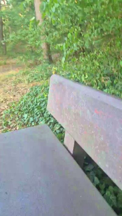 imfreienzeigen live cam on Cam4