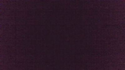 immerwir live cam on Cam4