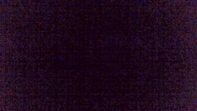 immerwir live cam on Cam4