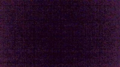 immerwir live cam on Cam4