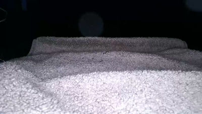 immerwir live cam on Cam4