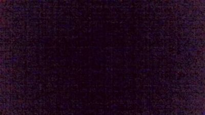 immerwir live cam on Cam4