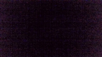 immerwir live cam on Cam4