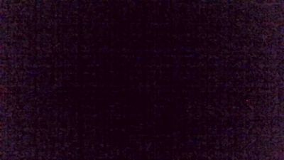 immerwir live cam on Cam4