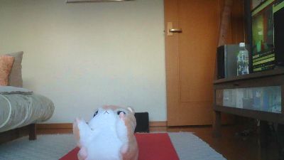 inagi live cam on Cam4