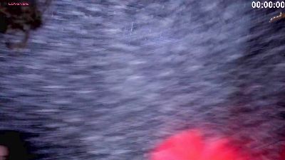 infinite_pleas1 live cam on Cam4
