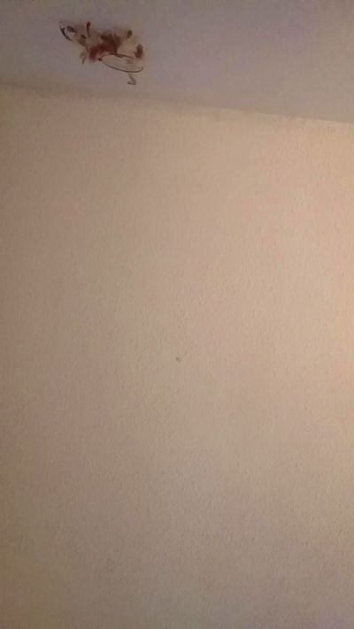 intuitivevirgo cámara web mujer en vivo desde Estados Unidos