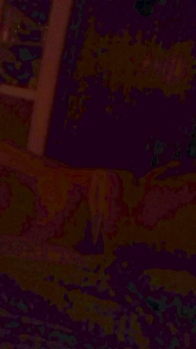 iris19951 webcam femeie live din Brazilia