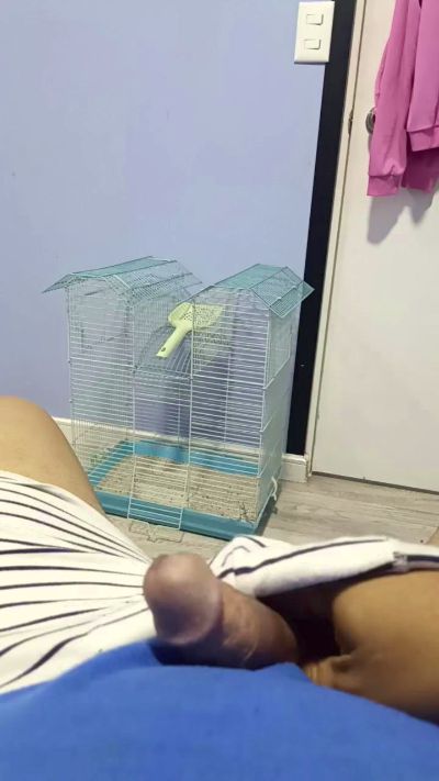 isbe0501 live cam on Cam4