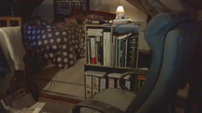 iznogode live cam on Cam4