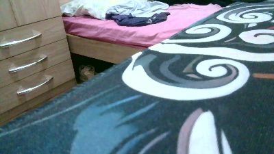 jaimegg1 live cam on Cam4