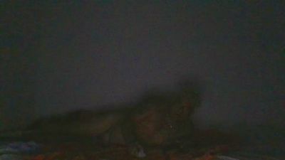 jairo2218 live cam on Cam4