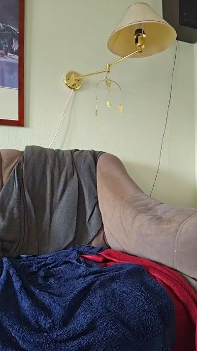 jak501 live cam on Cam4