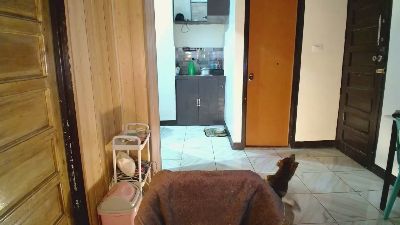 jakoloraine live cam on Cam4
