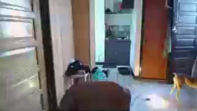 jakoloraine live cam on Cam4