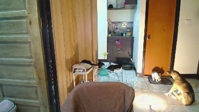 jakoloraine live cam on Cam4