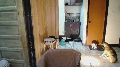 jakoloraine live cam on Cam4