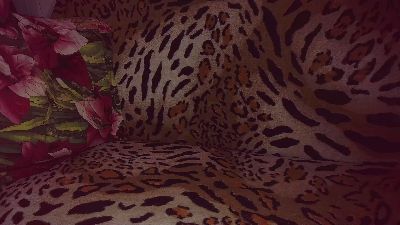 jamismu live cam on Cam4