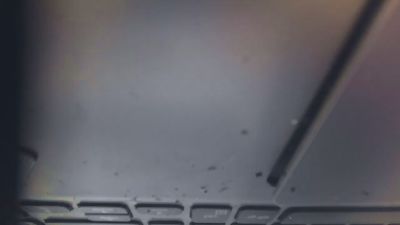 javilevel live cam on Cam4