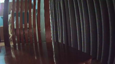 jc83170 live cam on Cam4