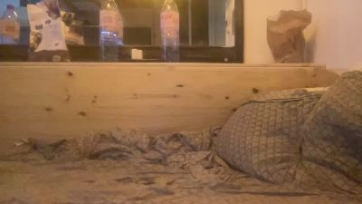 jensveutplus live cam on Cam4