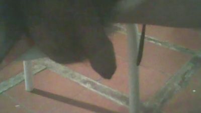 jlcanu1 live cam on Cam4
